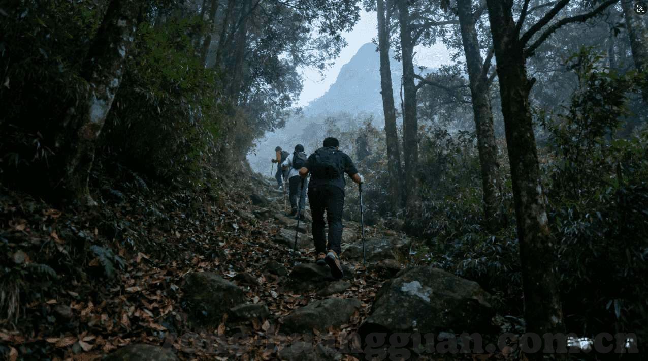 世界杯冠军数据预测-世界杯冠军数据预测，精准分析，洞悉胜败